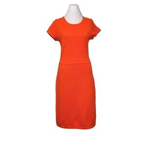 Biana Orange Knit Dress Size 6 Textured Stretch Sheath Classic Minimalist